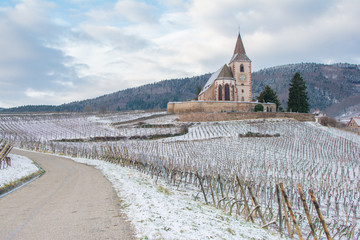 Eglise fortifi&eacute;e en Alsace dans les vignes en hiver 