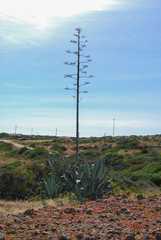 Sant'Antioco, Sardinia
