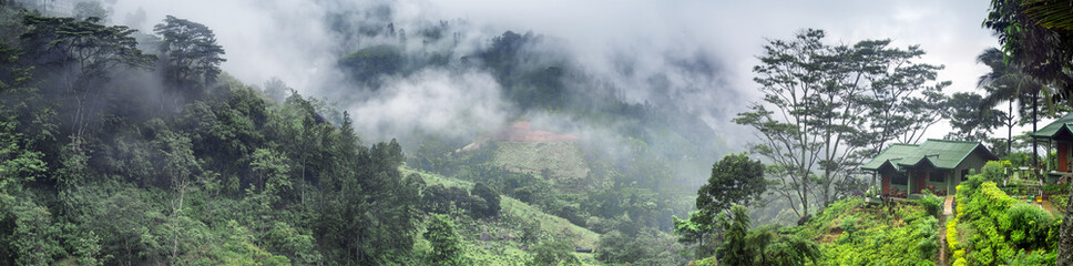panorama of tea valey
