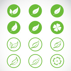 Vector leaves icon set on white background