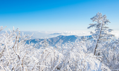 Deogyusan in winter,korea