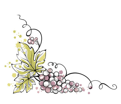 Watercolor illustration, vector -- bunch of grapes