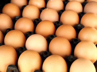 egg in the package selling on the market