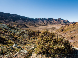 Fototapeta na wymiar Desert landscape of Volcano Teide National Park