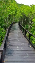 Wooden bridge in mangrove national park in Thailand
