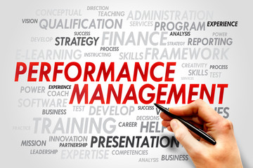 Performance Management word cloud, business concept