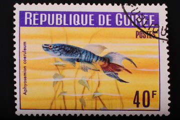 Guinea-circa 1964: Postage stamp image of aquarian fish