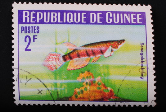 Guinea 1964 Postage stamp aquarian Senegal fish