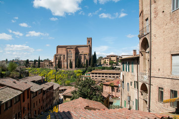 Siena