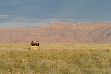 Safari in Namibia