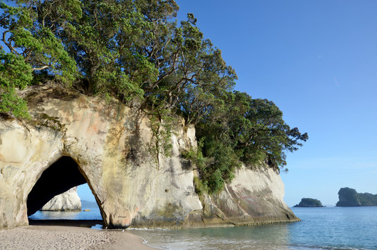 Te Whanganui-A-Hei (Cathedral Cove) Marine Reserve