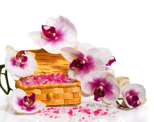 Twig orchids and wooden box with salt for of SPA treatments.