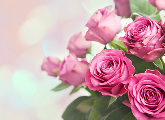 Bouquet of beautiful pink roses with bokeh background.