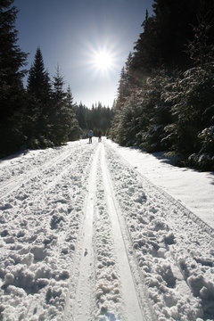 Winter sunny day