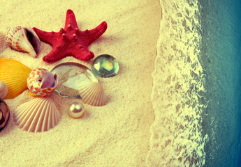 Fototapeta na wymiar Sea shells on sand beach. Vintage style.