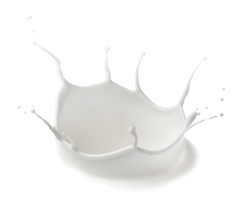 milk splash drop white liquid