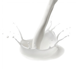 milk splash drop white liquid