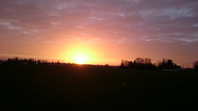 Sunshine in le plessis p&acirc;t&eacute;