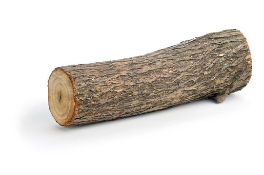 Wood Log Images – Browse 3,636,072 Stock Photos, Vectors, and