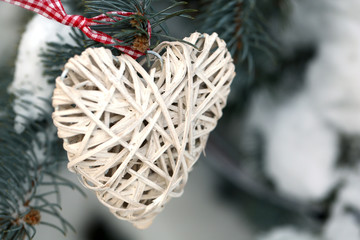 Covered with snow and wicker heart branch of spruce, outdoors