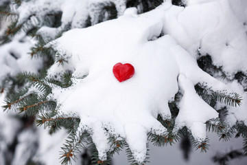 Fir tree branch covered with snow and heart, closeup view