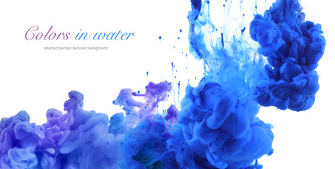 Fototapeta premium Acrylic colors in water. Abstract background.