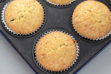 Baked vanila cupcakes sprinkled with white sugar.