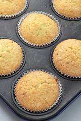 Baked vanila cupcakes sprinkled with white sugar.