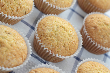 Baked vanila cupcakes sprinkled with white sugar.