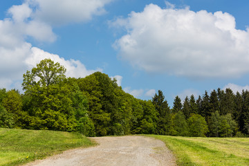 Wonderful green landscape