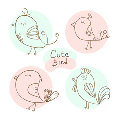 Set of cute bird. Vector illustration