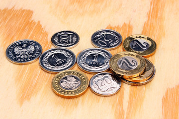 Polish money coins