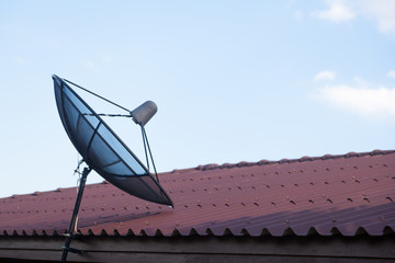 Satellite TV