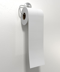 Toilet Roll On Chrome Hanger