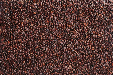 Kaffeebohnen Fläche