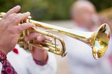music, trumpet, Musical Instrument, brass instrument, playng, Mu