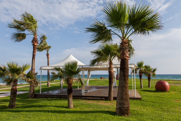 Fototapeta premium Tent in the meadow under the palm trees and red pot