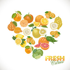 Isolated heart of citrus on a white background