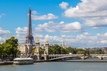 Photo sur Plexiglas Pont Alexandre III Eiffel Tower and bridge Alexandre III