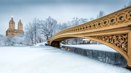 Photo sur Plexiglas New York Pont Bow à Central Park, New York