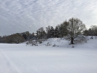 Fototapeta na wymiar A river in winter