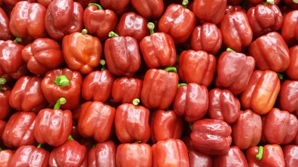 pimientos rojos
