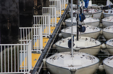 Sailboats parked at a pier