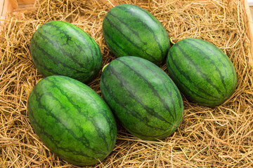 watermelon on shelf in market.