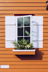 white window open and flower at house