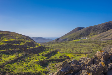 Terraces mountains and sea in  Fuerteventura Las Palmas Canary I