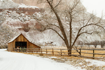 Barn and orchard in winter