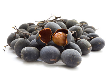 Velvet tamarind, Dialium cochinchinense