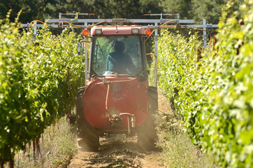 Naklejka premium Wine Spray