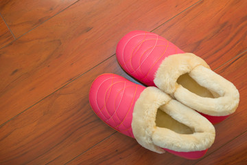 Fototapeta na wymiar Pair of shoes for lady on wooden floor in bed room